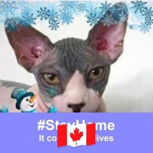 Meet your Posher, Danine